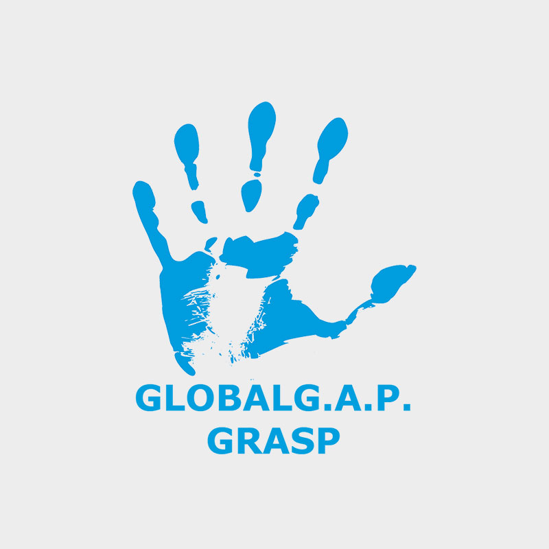 Grasp Logo